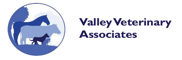 Valley Veterinary Associates logo